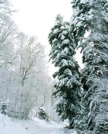 Birkenhof Hotel Wald-Michelbach