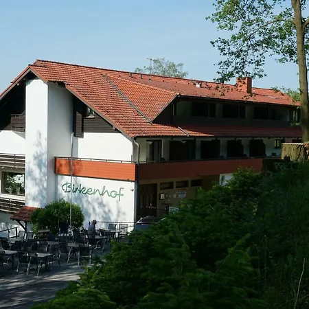 Birkenhof Hotel 2*