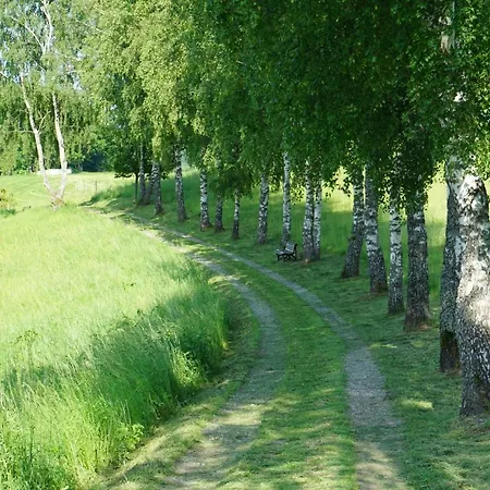 Hotel Birkenhof Wald-Michelbach