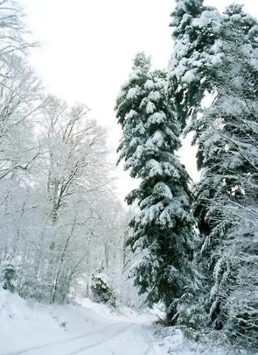 Birkenhof Hotel Wald-Michelbach