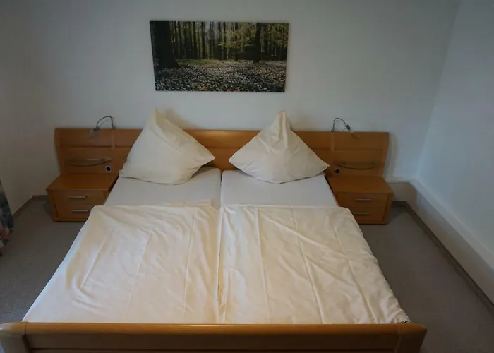 Hotel Birkenhof Wald-Michelbach