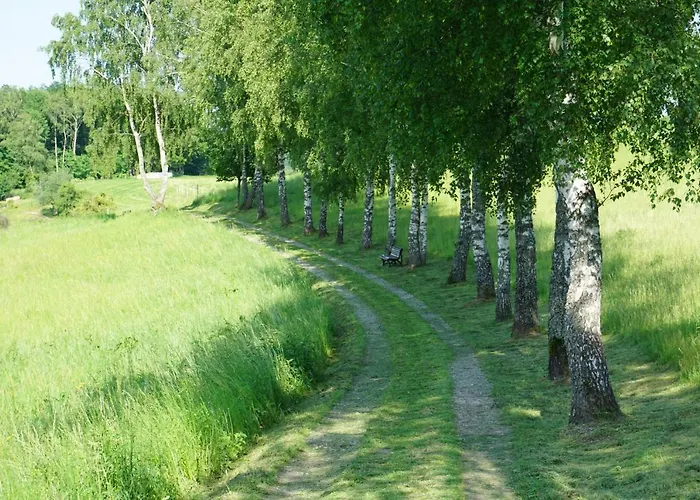 Hotel Birkenhof Wald-Michelbach